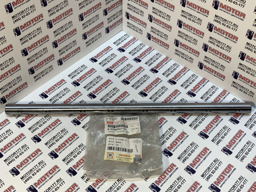 Ось коромысел